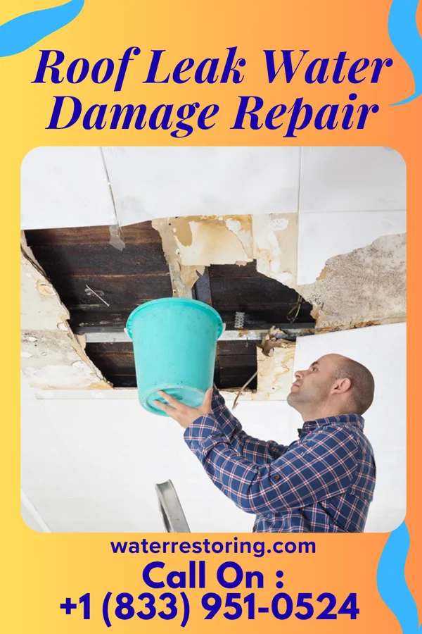 Roof Leak Water Damage Repair in Mansfield, TX